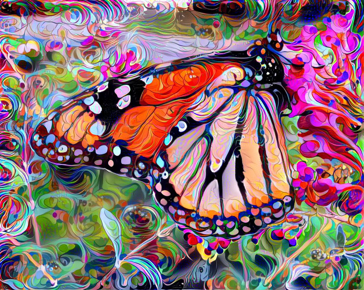 Monarch Butterfly