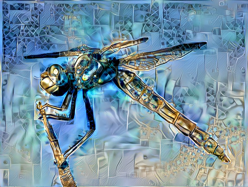 Dragonfly Dreams