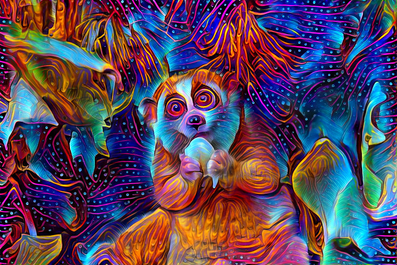 Source: Unknown (Slow Loris)