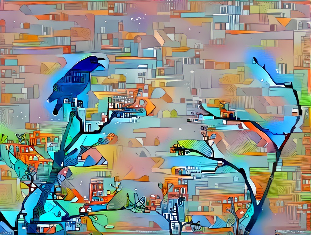 City Crow