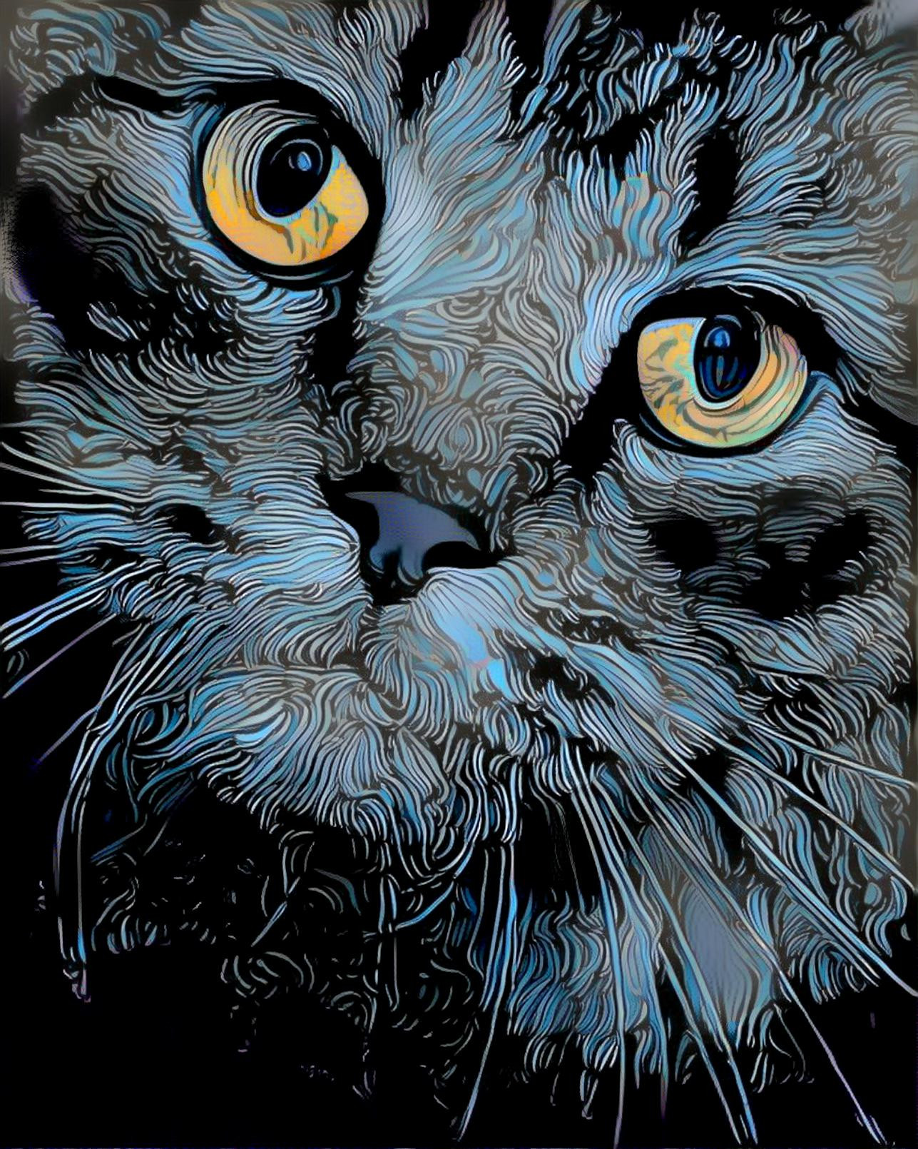 Blue Kitty wit Amber Eyes 