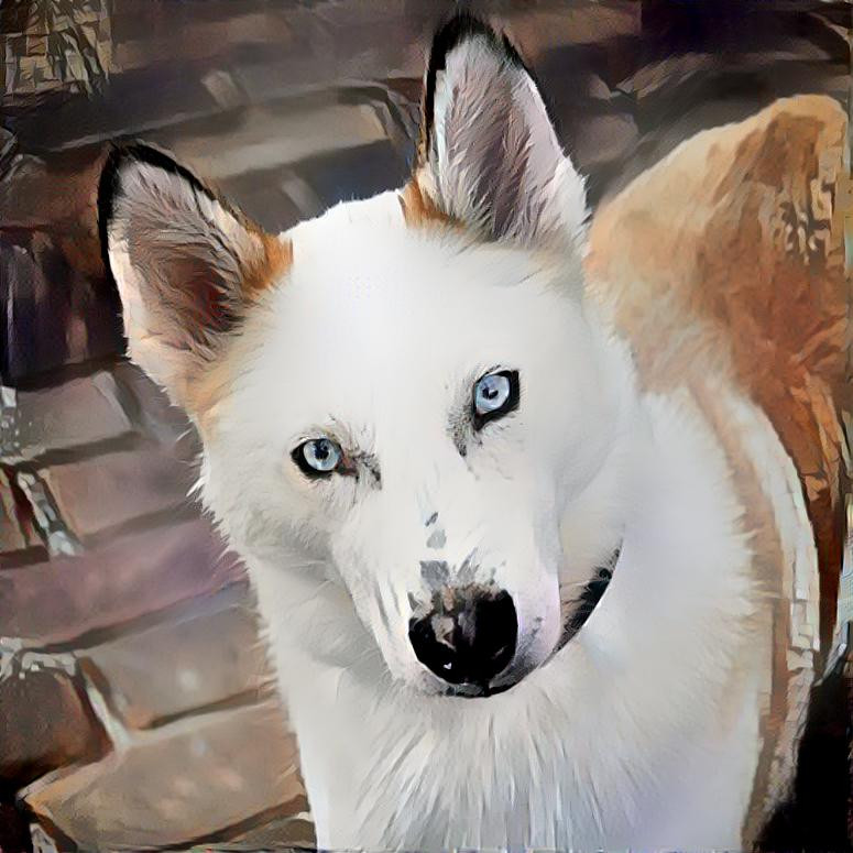 MIx white dog