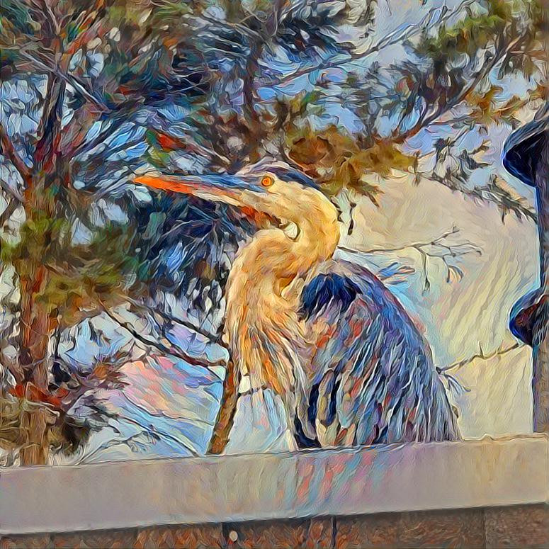 Roof heron