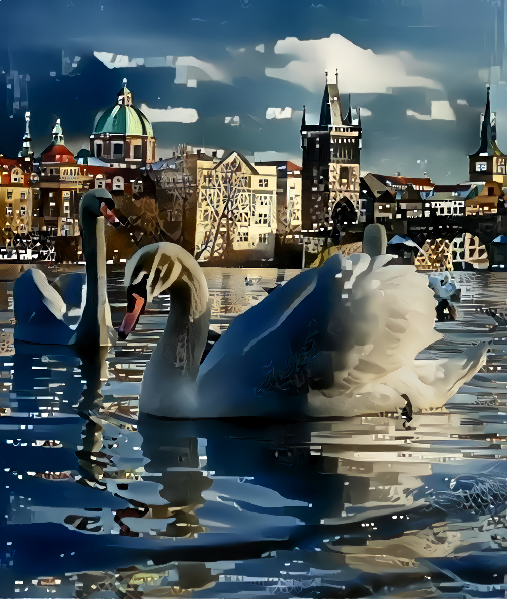 City Swan