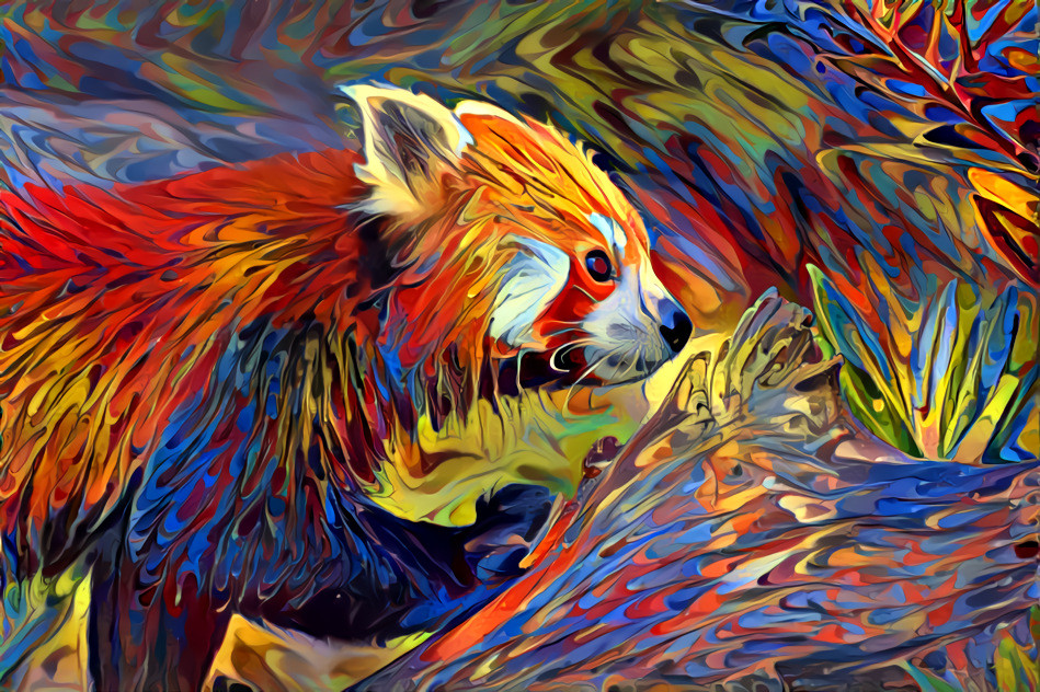 Red panda