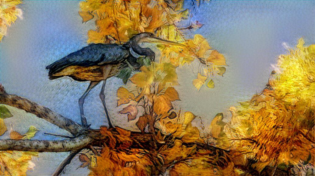 Heron in a tree