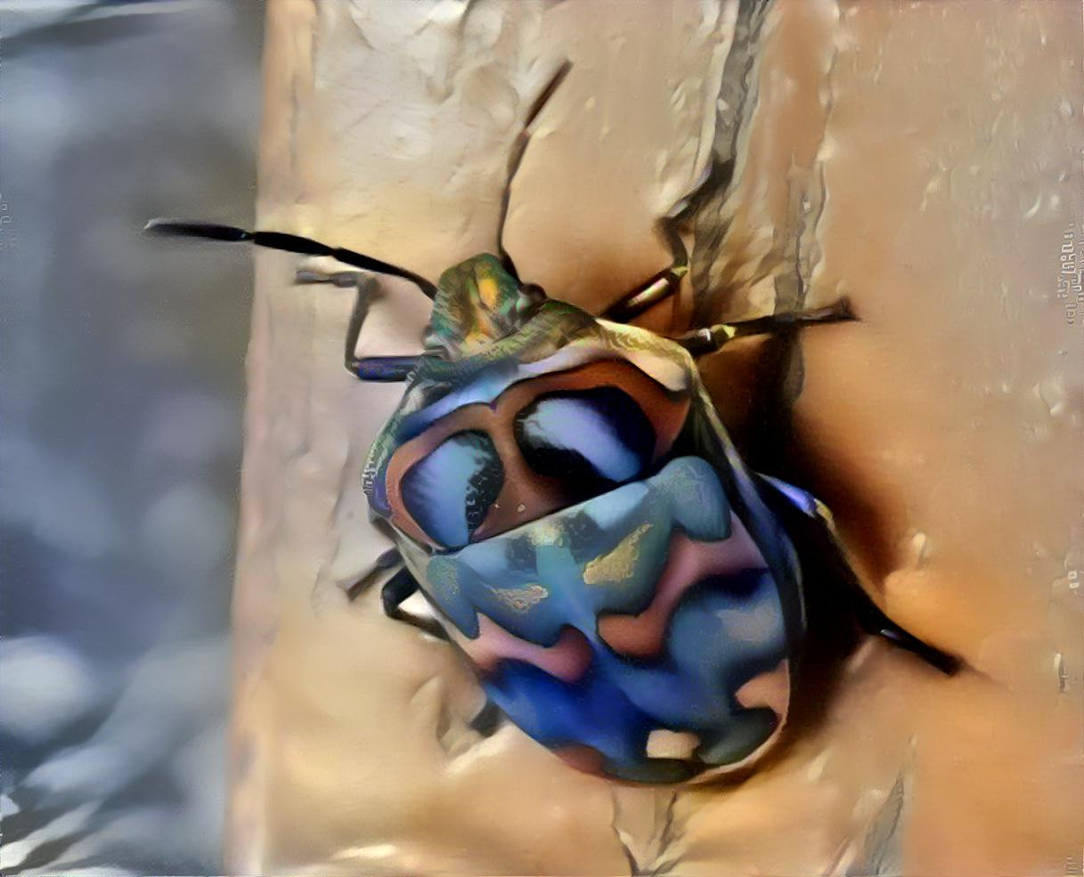 jewel bug