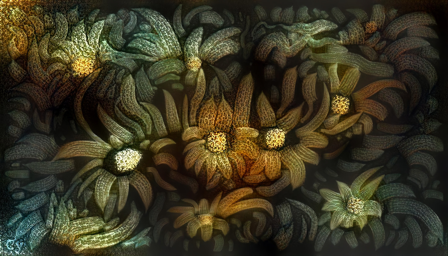 Fleurs étranges