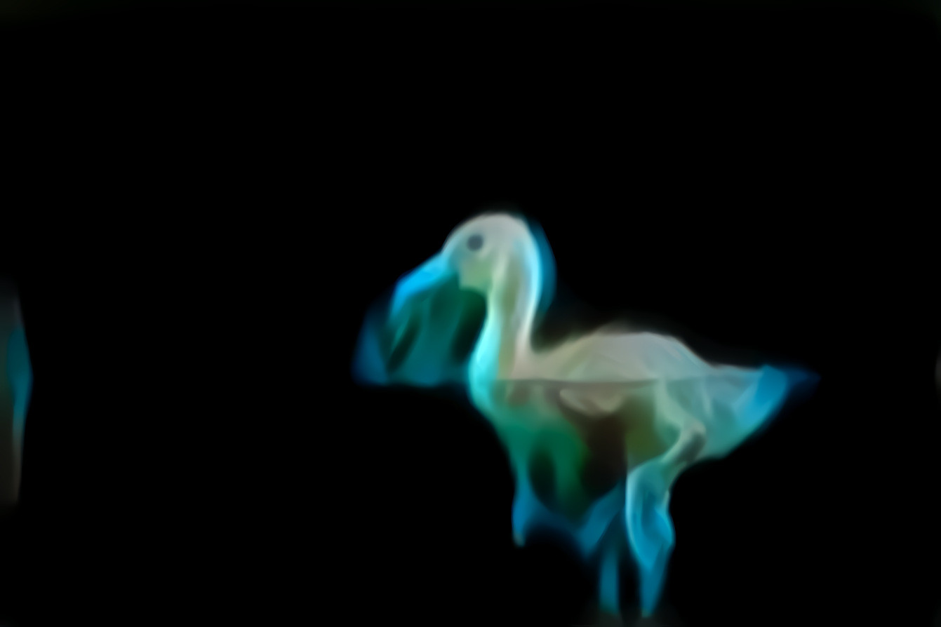 Ghost Duck