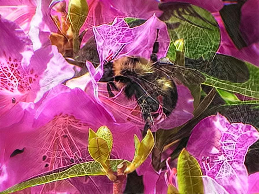 Hungry Bee on a Flower