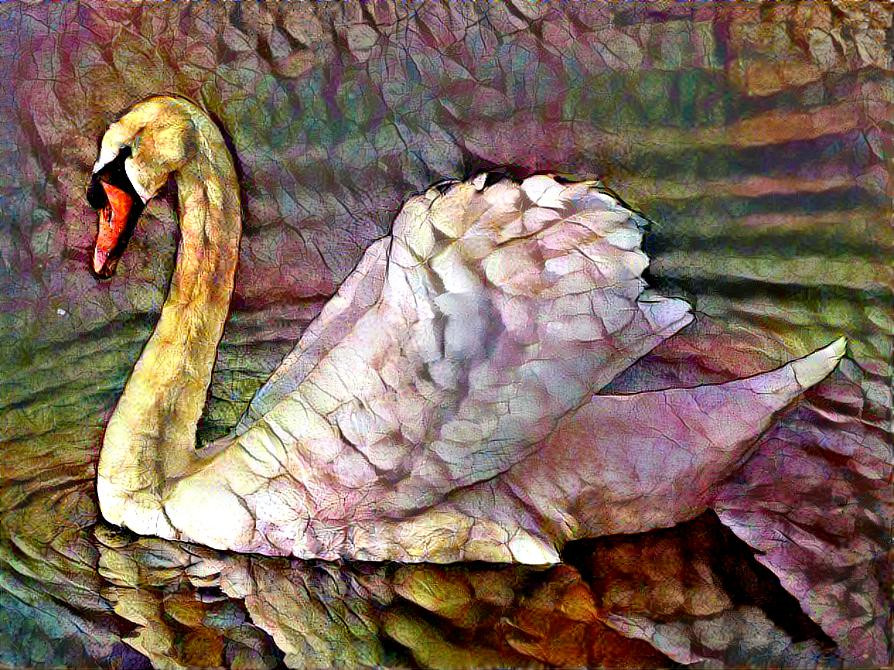 rainbow swan