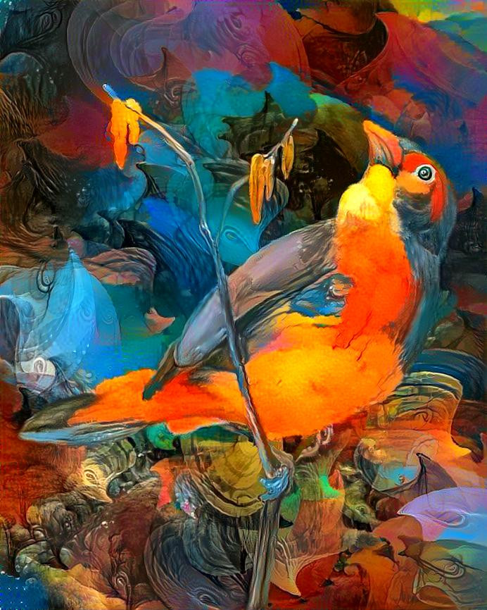 Colorful Bird