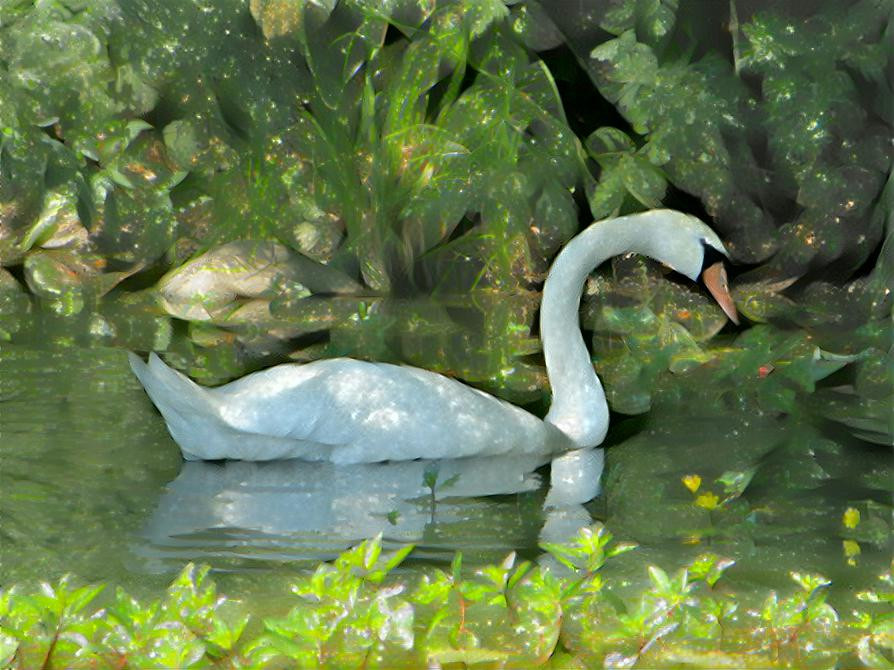 Opal Swan - photographer Deb Berk