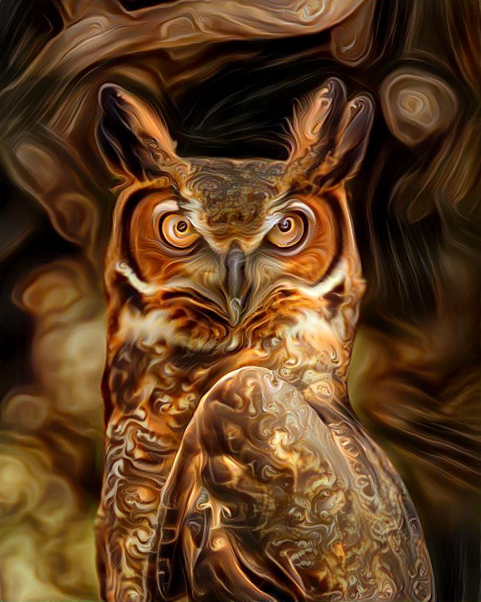 Owl