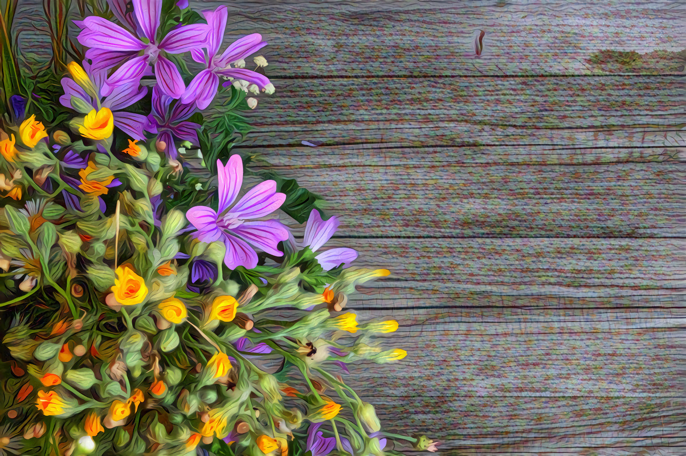 Wild Flowers by the Shed