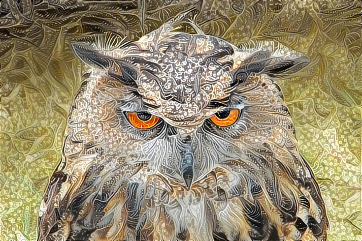 Deep Dream: Owl With Attitude