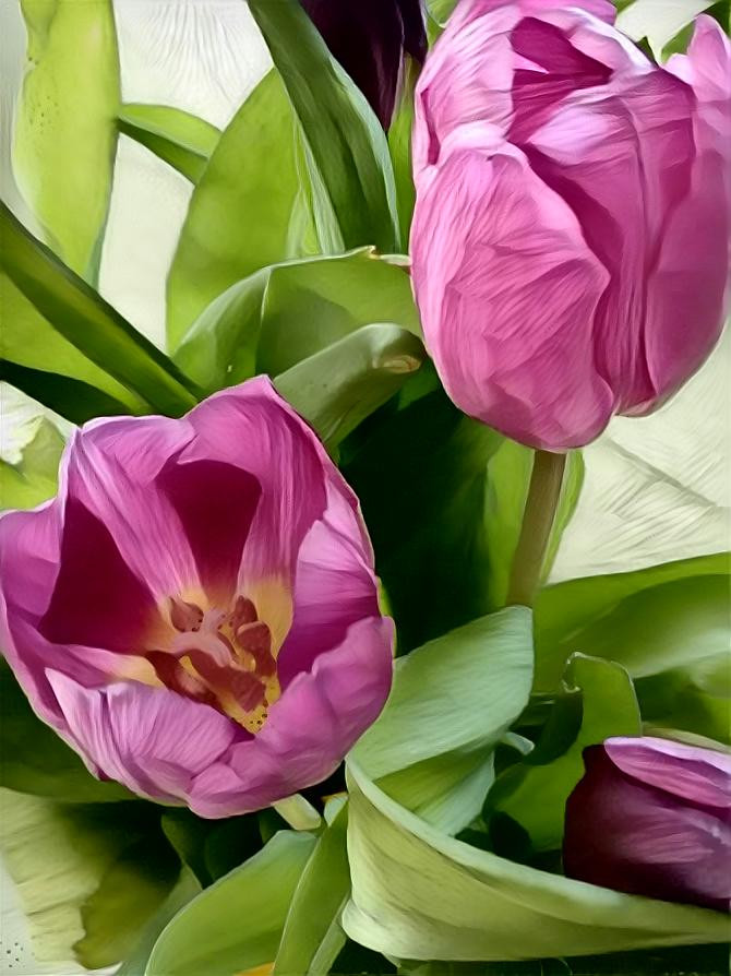 PURPLE TULIPS