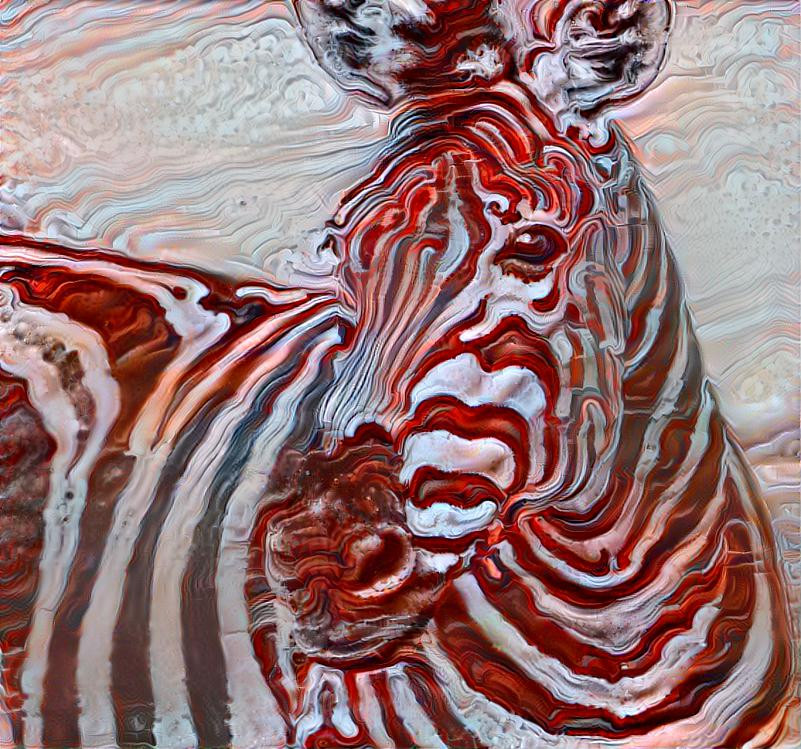 The Zebra