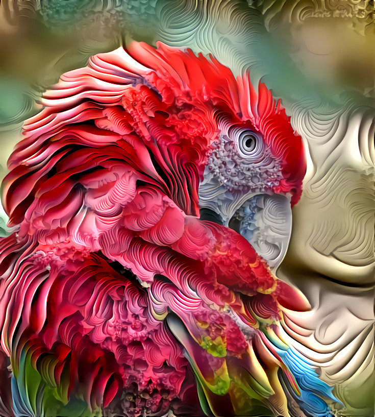 Parrot