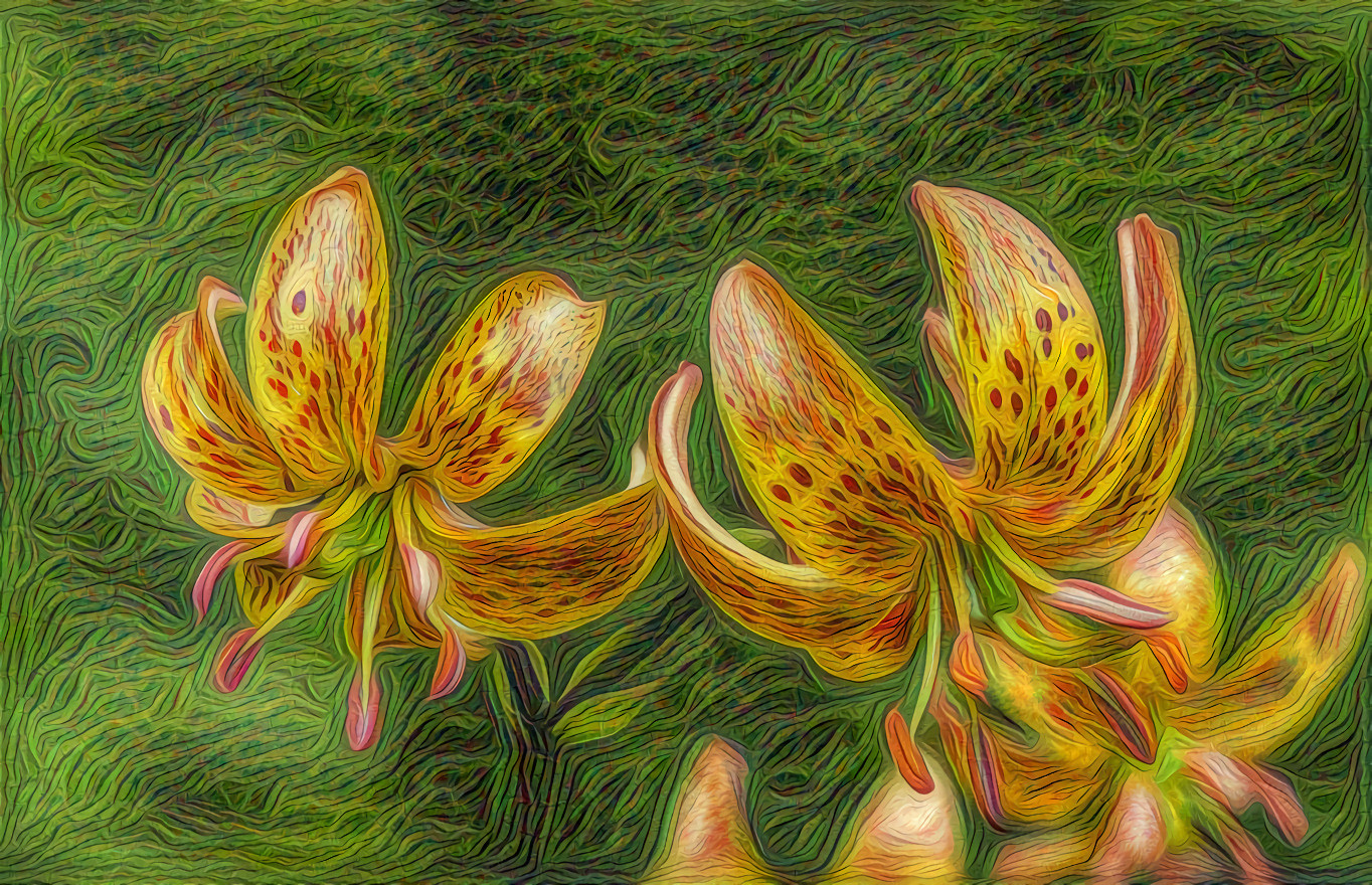 Lillies