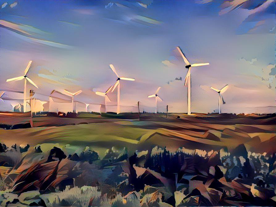 wind farm