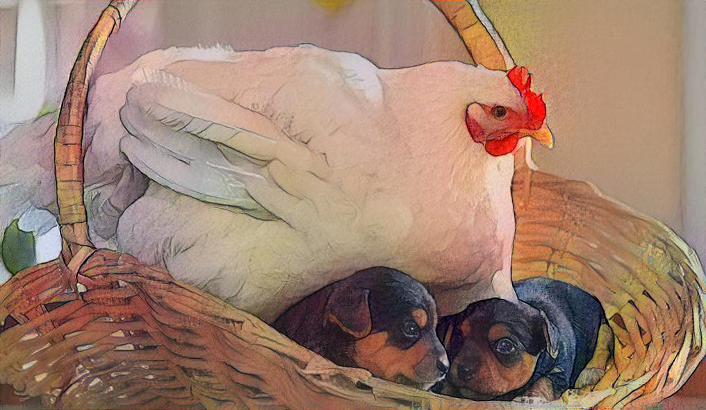 CLUCK AND PUPS