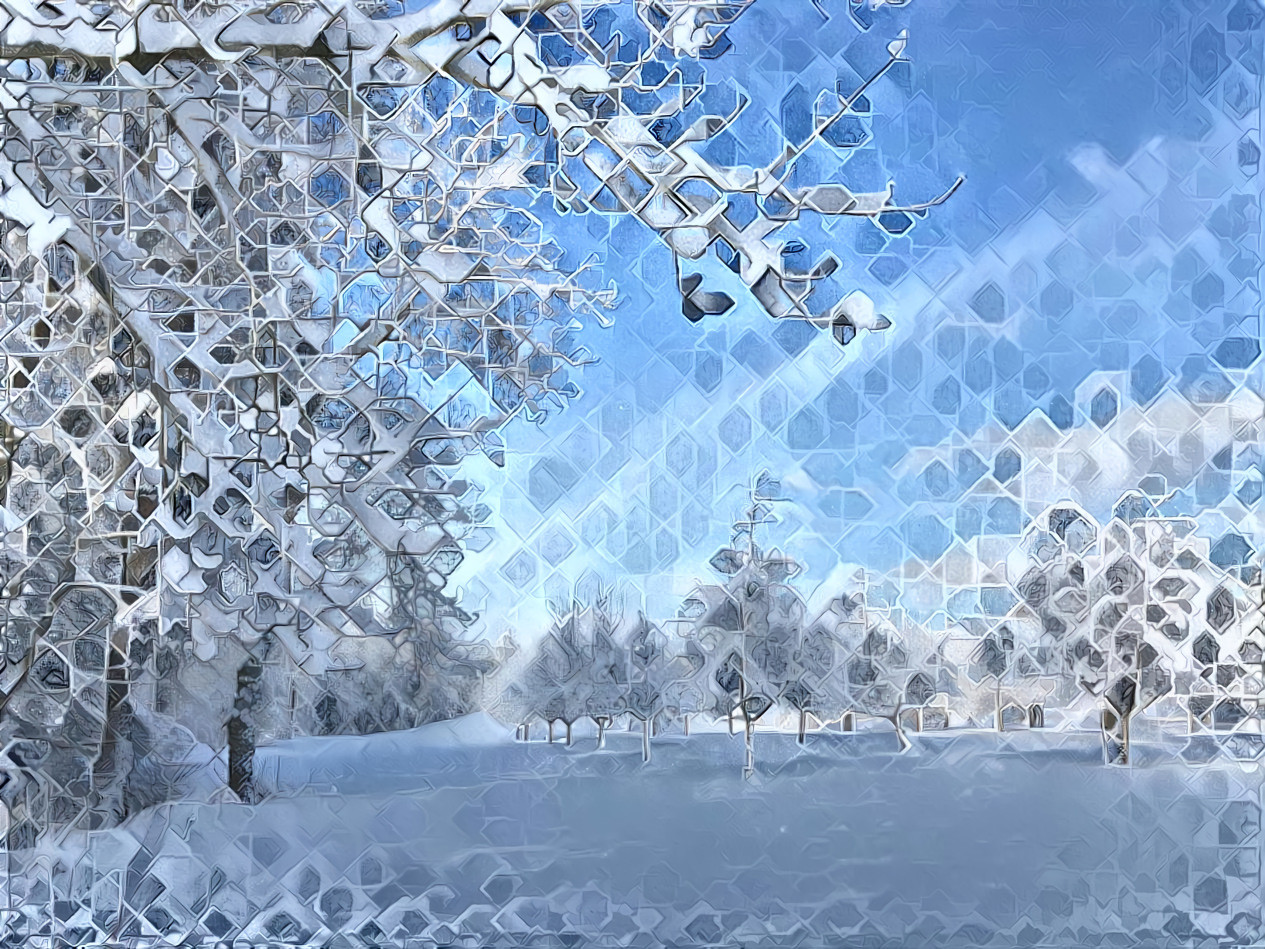 Apple trees in the snow