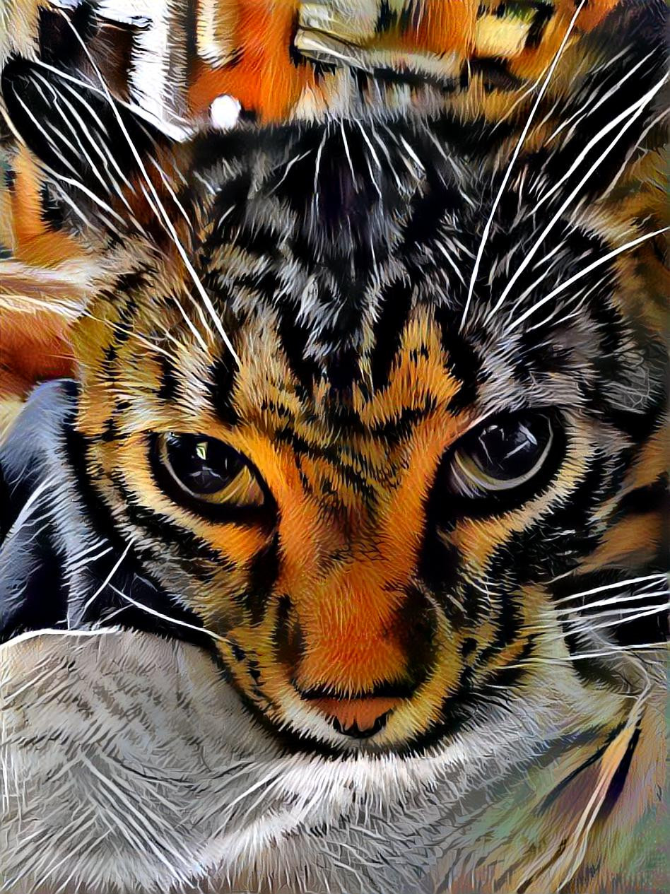 REY THE TIGER