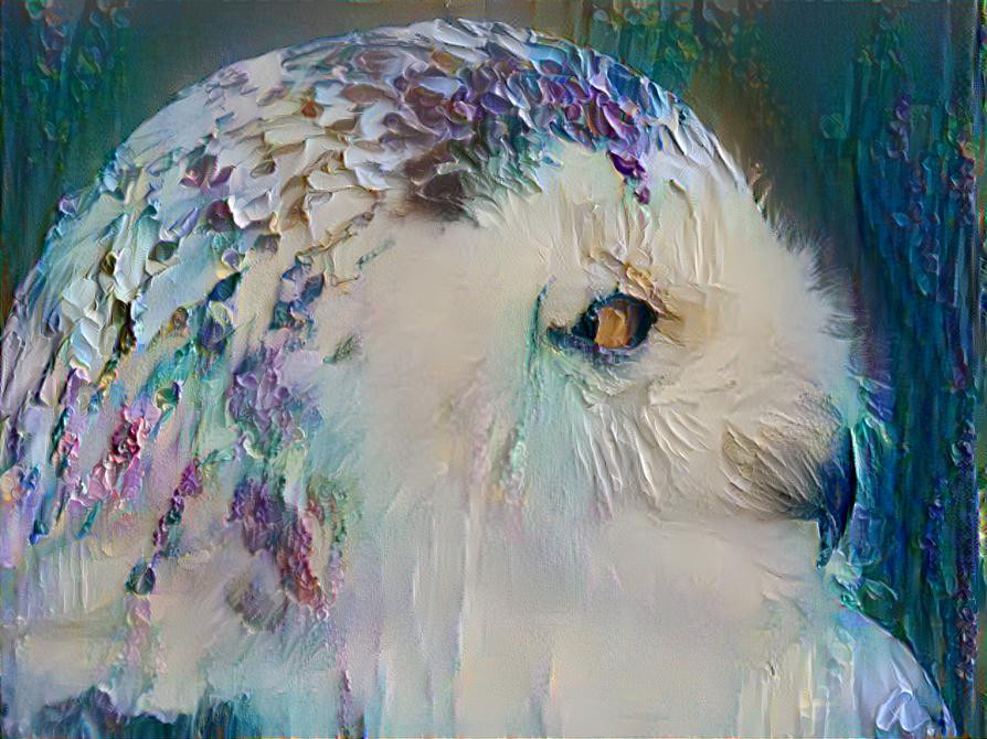 Snow Owl