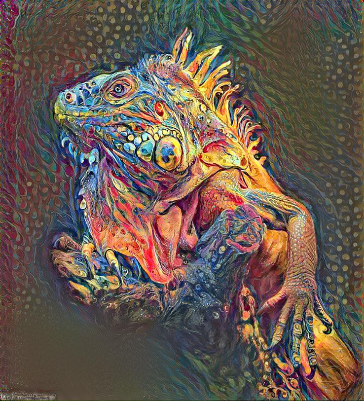 Iguana2