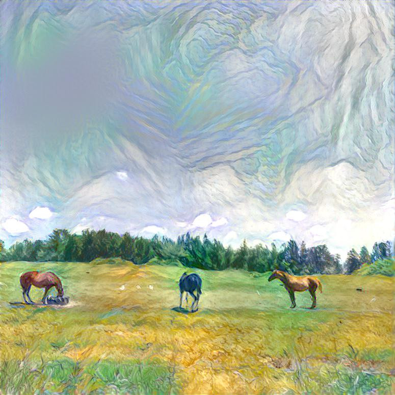 Horses in the field