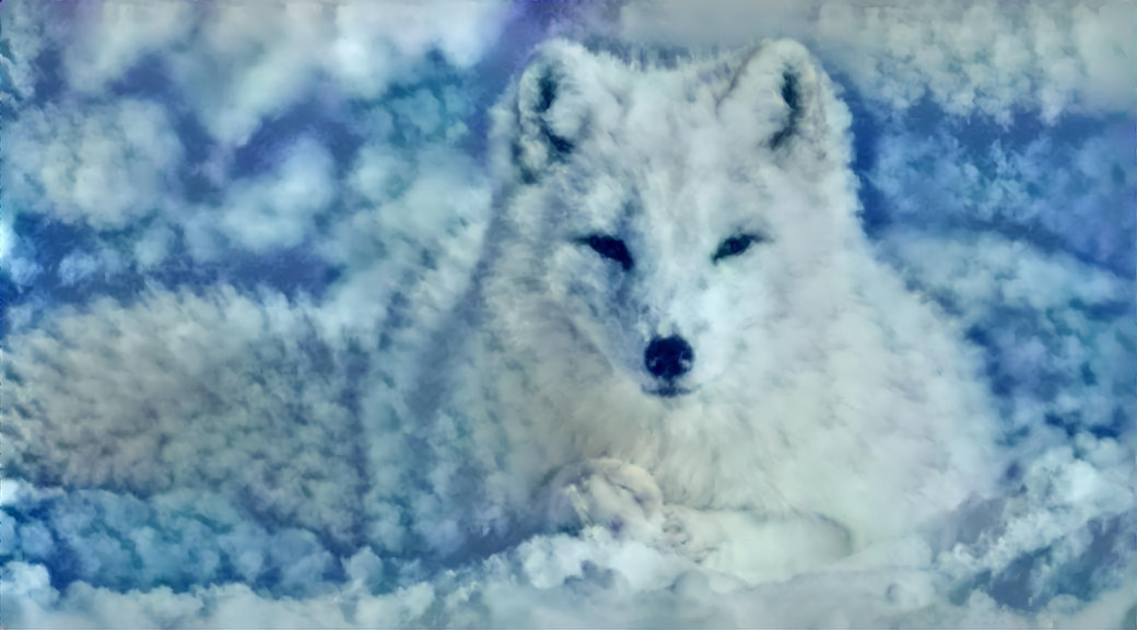 Arctic Fox