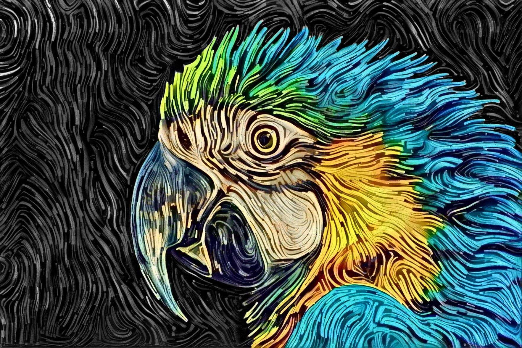 Parrot Head