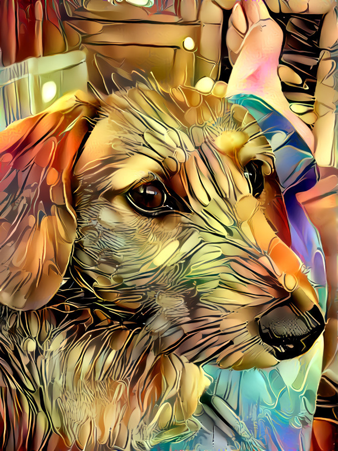 Deep Dream Dachshund