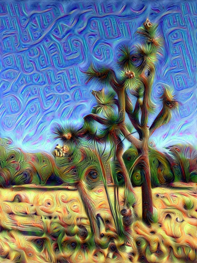 Joshua Tree Spirit