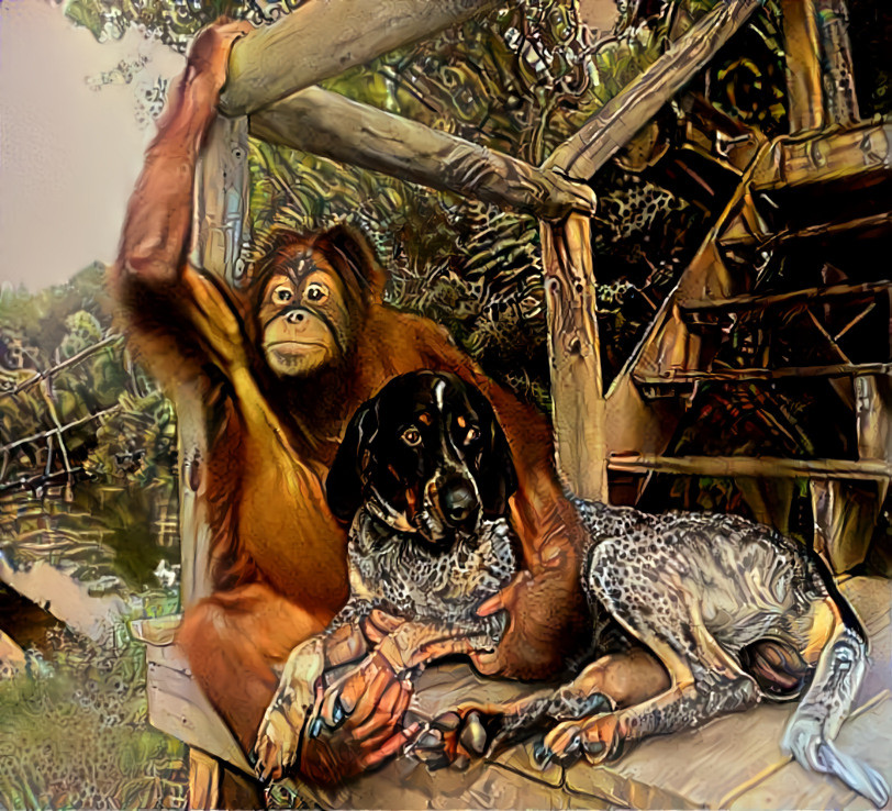 MONKEYING AROUND WITH MY DOG