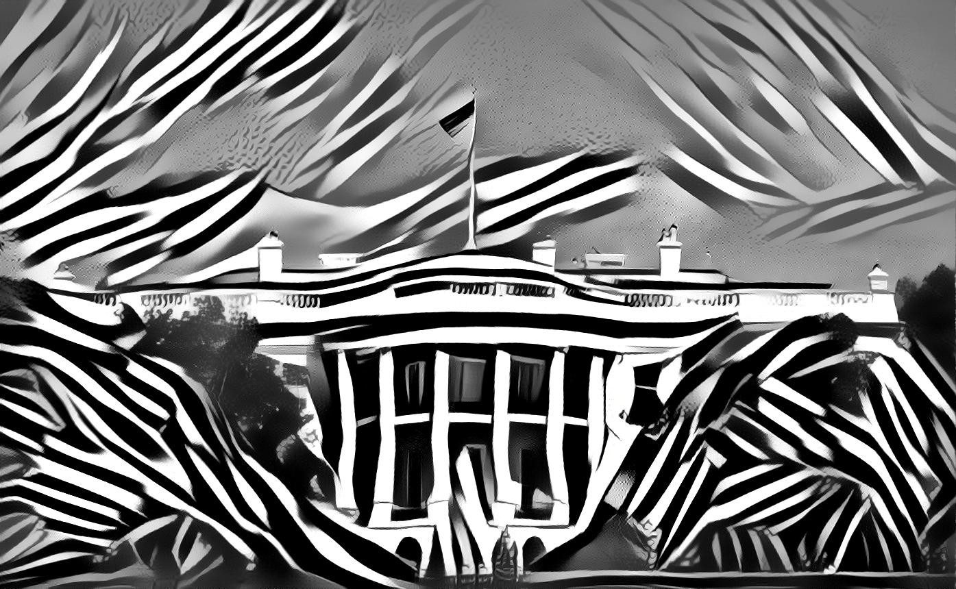 Black & White House