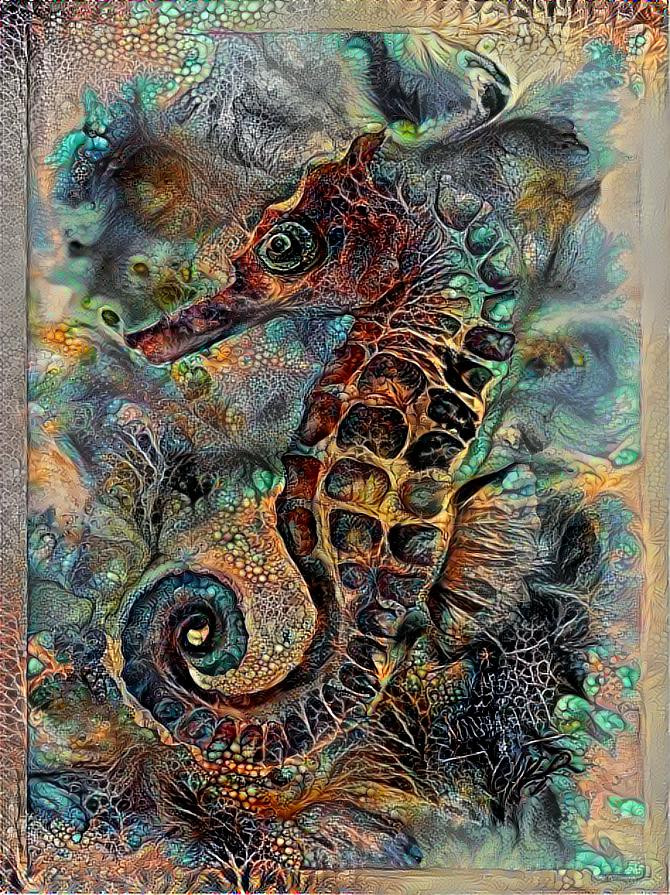 Seahorse