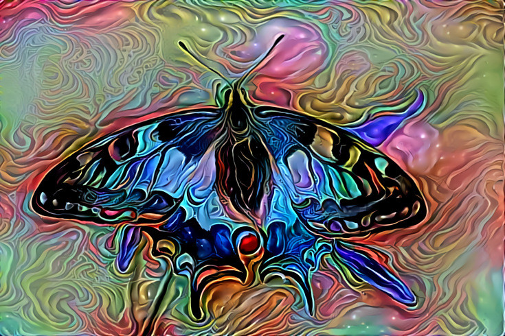 Butterfly