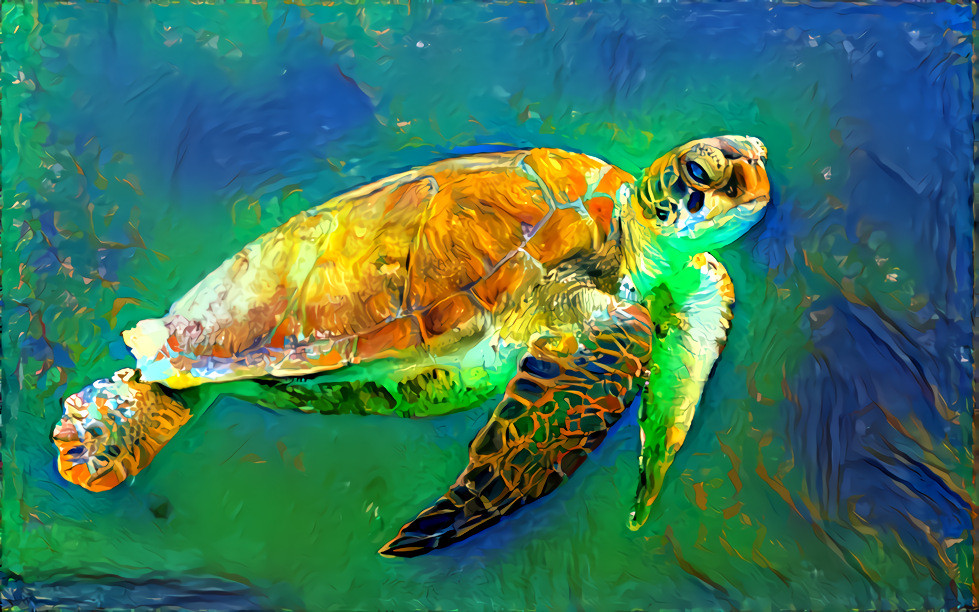 Sea turtle