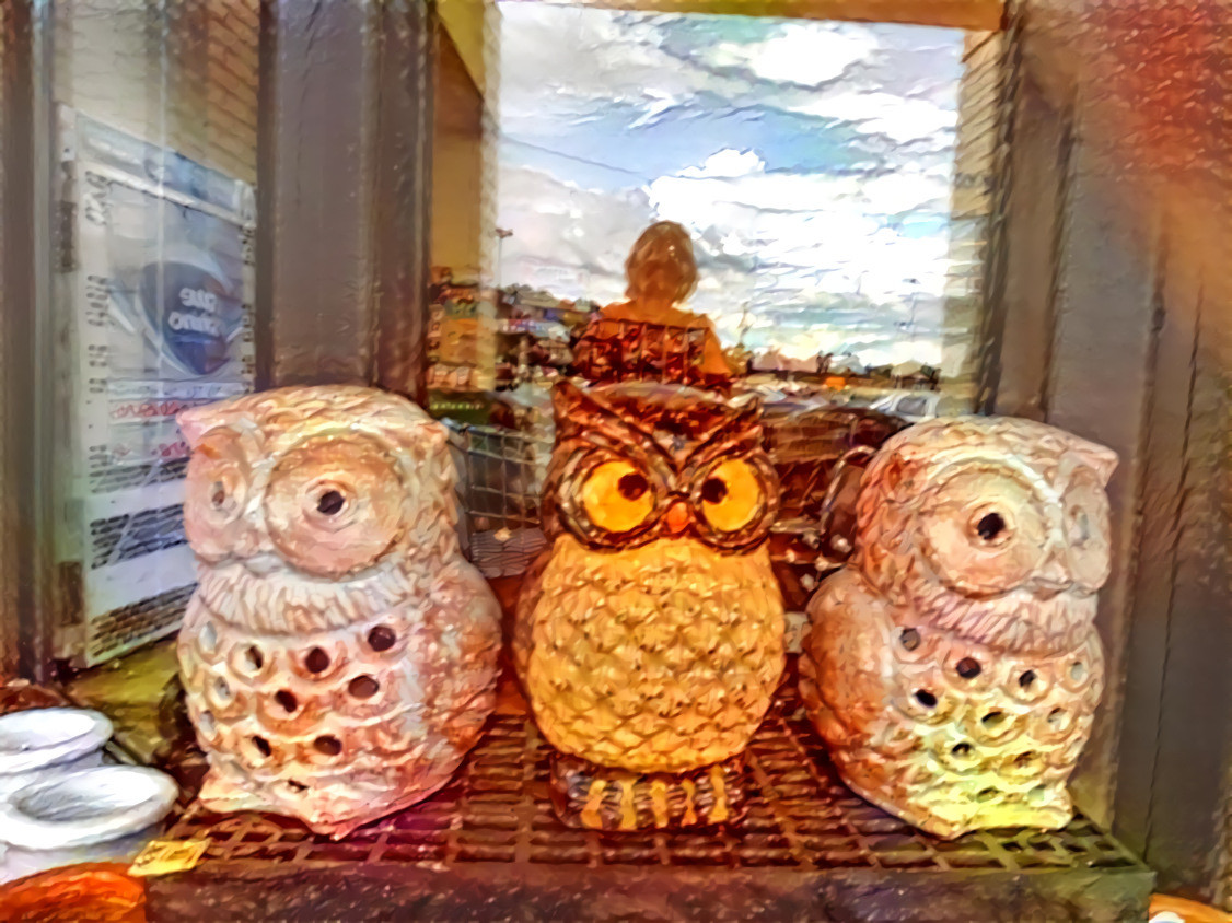 Three Little Owls Reboot