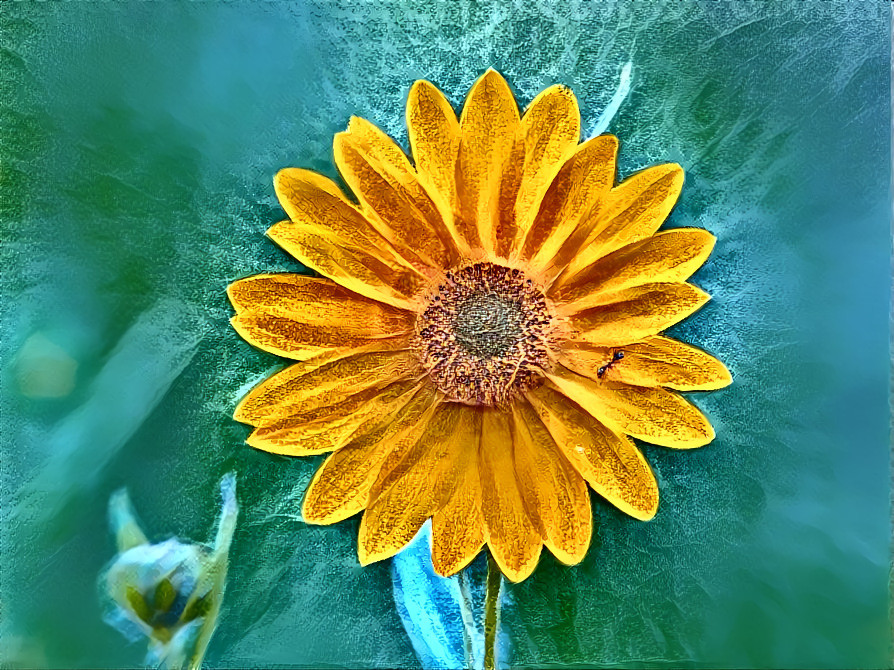 Yellow Flower