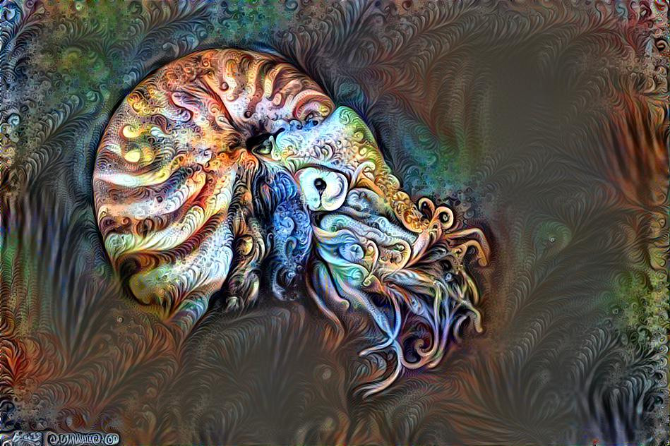 Ornately Chambered Nautilus