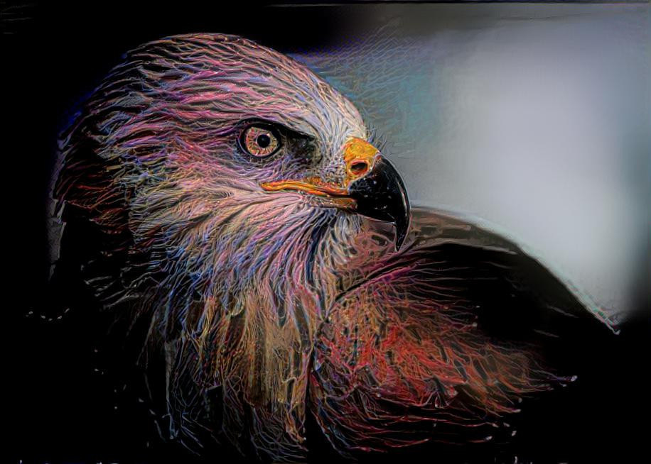 Eagle Portrait