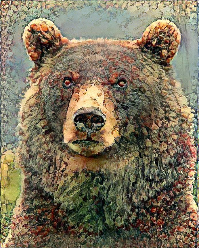 Bear