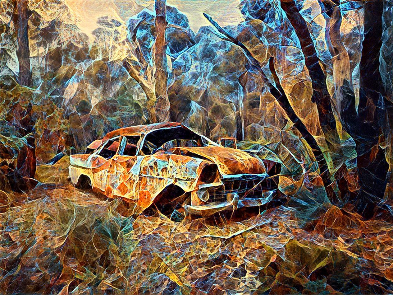 EK Holden found in the bush