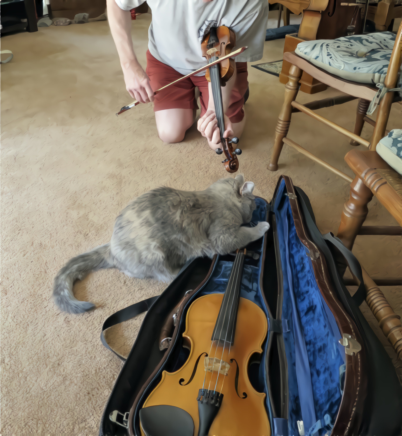 Hey Diddle Diddle, The CAT Loves the Fiddle....