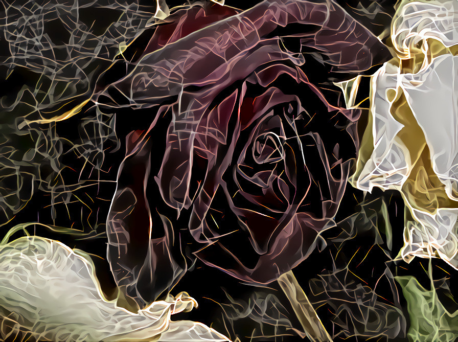 Dying Roses #3