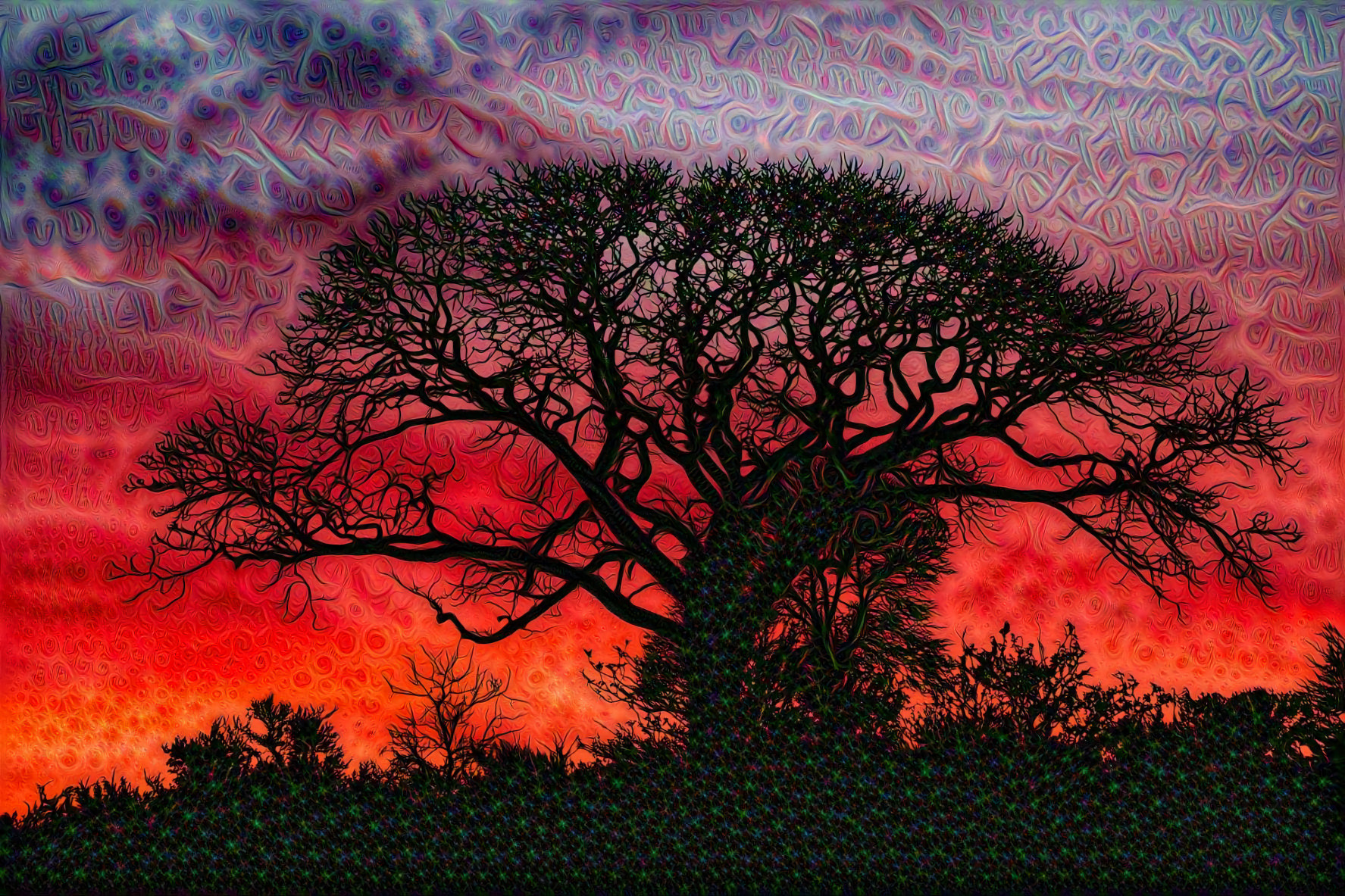 Deep Red Sunset, black tree