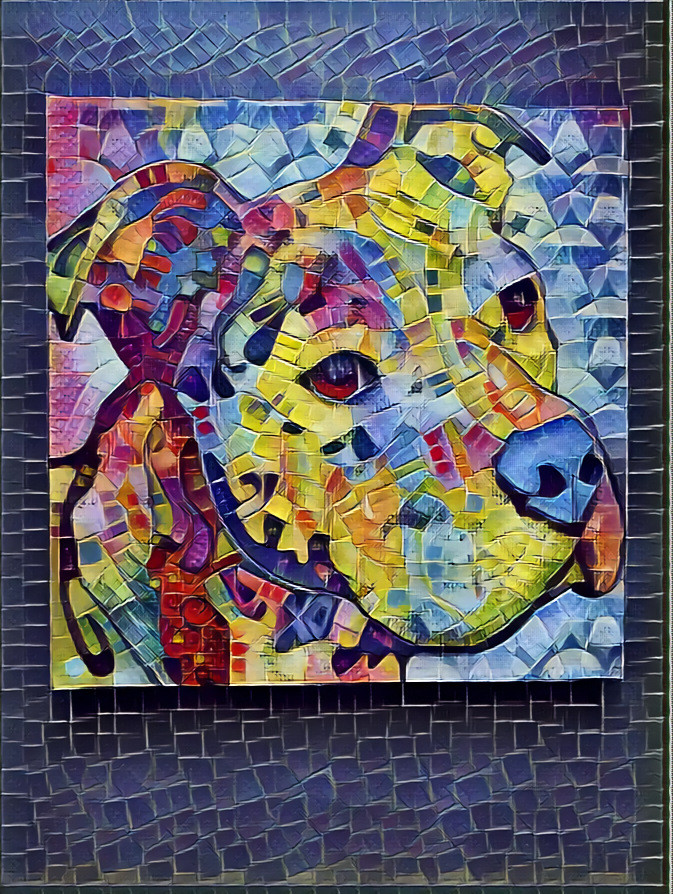 Dog gallery